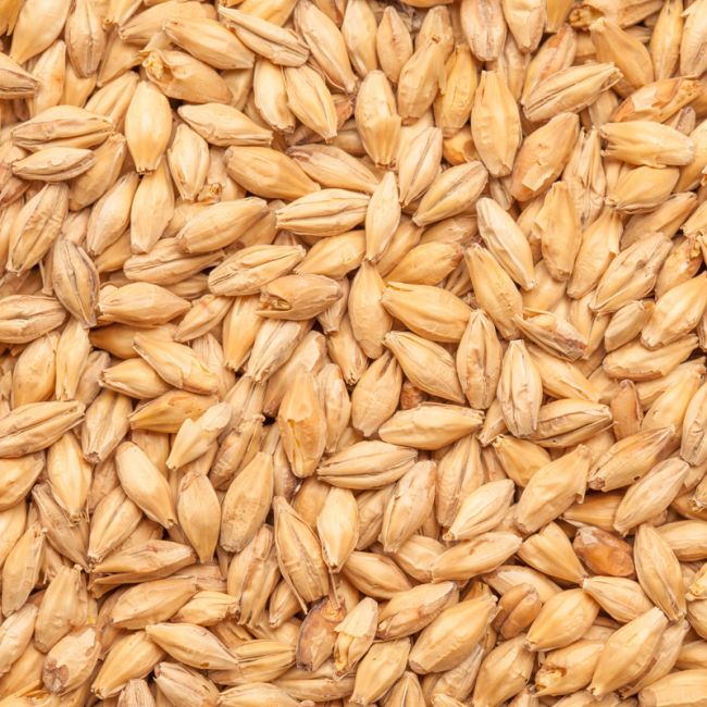 Pale Ale malt 1 Kg 7-9 EBC