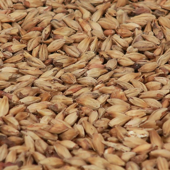 Melano Malt 80 EBC 1 kg