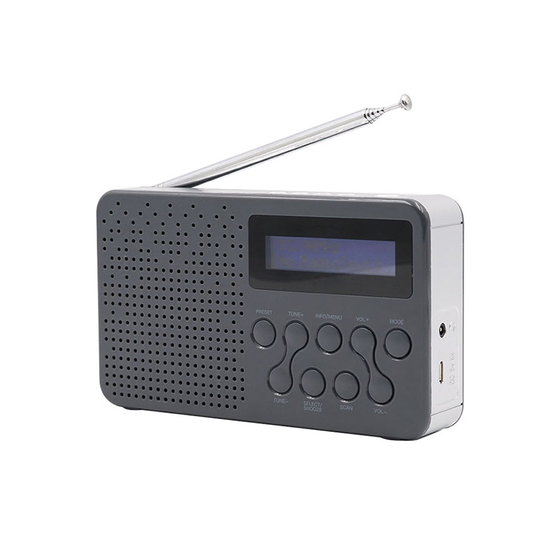 Oppladbar Radio DAB/DAB+/FM 