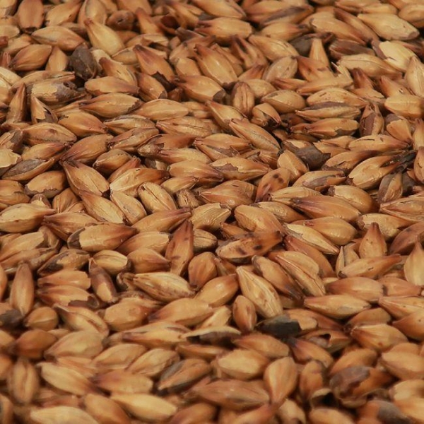 Special B malt 1 kg EBC 300 HEIL