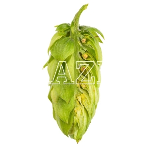 SAAZ Blomst Tjekkia A 2,9 % 100 gr