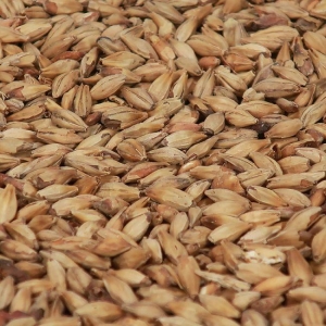 Melano Malt 80 EBC 1 kg HEIL