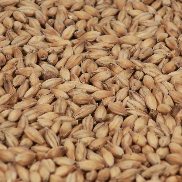 Maris Otter 1kg EBC 5,5