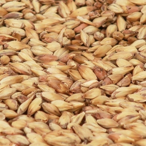Cara Clair malt 1 kg EBC 3-7 HEIL