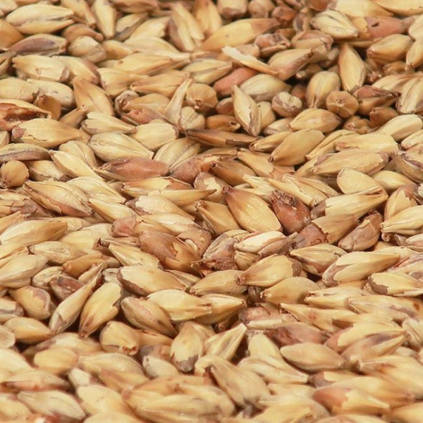 Cara Clair (cara pils) malt 1 kg EBC 3-7