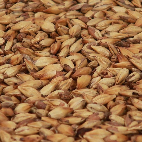 Cara Gold malt 1 kg EBC 120 HEIL