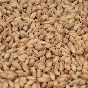 Diastatique malt 1 kg EBC 2,5-4 HEIL