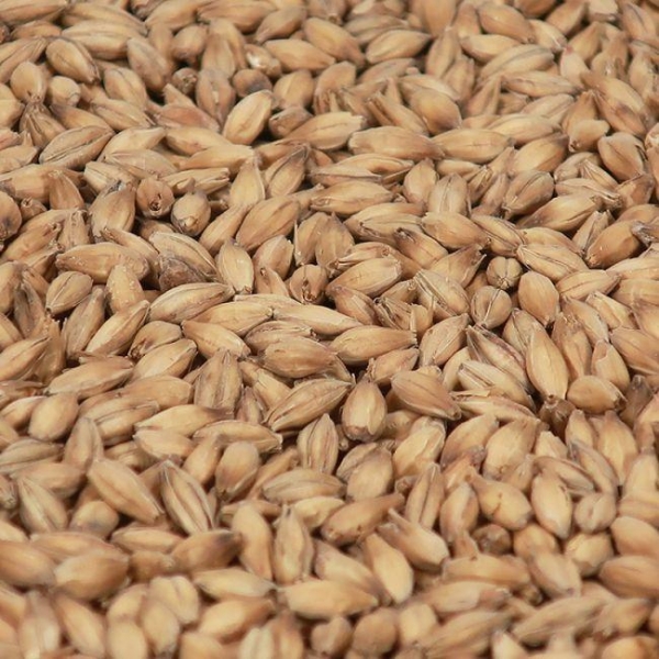 Diastatique malt 1 kg EBC 2,5-4 HEIL