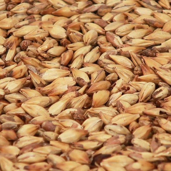 Cara Blond malt 1 kg EBC 20 KNUST