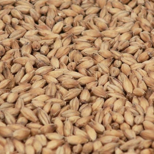 Diastatique malt 1 kg EBC 2,5-4 KNUST