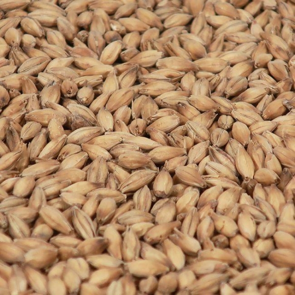 Diastatique malt 1 kg EBC 2,5-4 KNUST