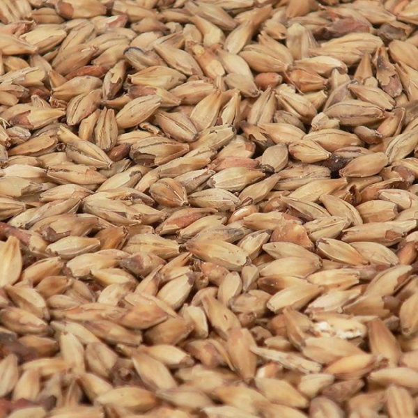 Biscuit malt 1 kg EBC 50 KNUST