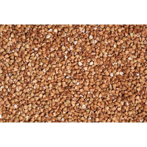Buck Wheat ("glutenfritt") malt 1 kg EBC 6-15