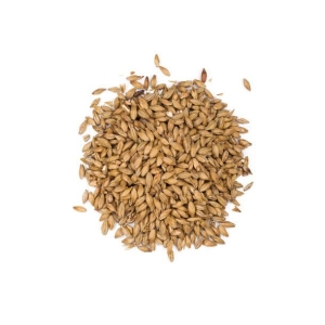 Viking Pilsner Malt 25 kg HEIL