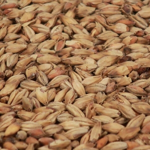 Abbey malt 1 kg EBC 45 KNUST
