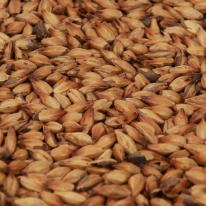 Special B malt 1 kg EBC 300 KNUST