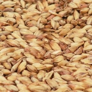 Cara Clair malt 1 kg EBC 3-7 KNUST