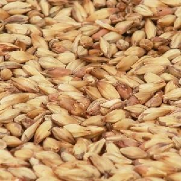 Cara Clair malt 1 kg EBC 3-7 KNUST