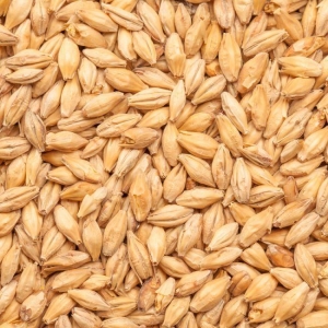 Pale Ale malt 1 Kg 7-9 EBC KNUST