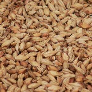 Munich (Dunkel) 1 kg EBC 25 KNUST