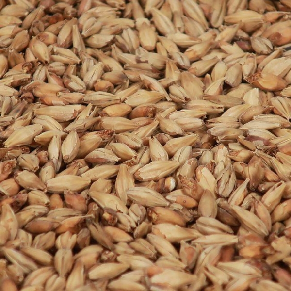 Munich (Dunkel) 1 kg EBC 25 KNUST