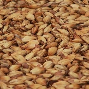 Cara Gold malt 1 kg EBC 120 KNUST