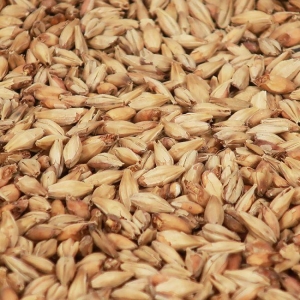 Munich Light 1 kg EBC 15 KNUST