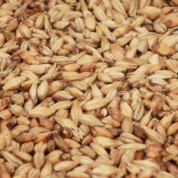 Munich Light 1 kg EBC 15 KNUST