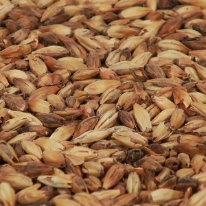 Cafe Light malt 1 kg EBC 250 KNUST