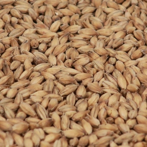 Smoked (røykt) malt 1 kg EBC 6 KNUST