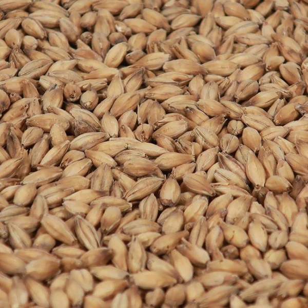 Smoked (røykt) malt 1 kg EBC 6 KNUST