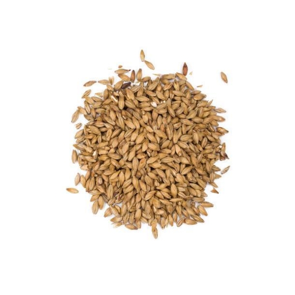 Viking Pilsner malt 1 Kg KNUST