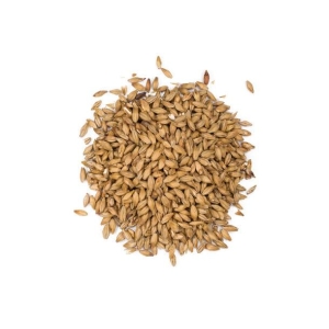 Viking Pilsner Malt 25 kg KNUST