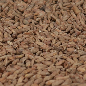 Rye malt 1 kg EBC 19