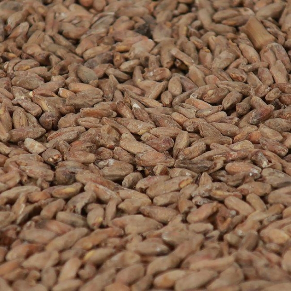 Rye malt 1 kg EBC 19