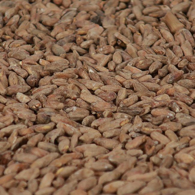 Rye malt 1 kg EBC 19