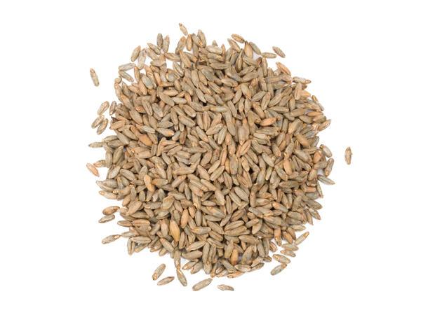 Rye(rug) malt EBC 19 1 kg, HEIL