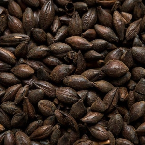 Caramel 600 1 kg EBC 550-650 HEIL